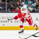 VM-backen dumpas av NHL-klubben – får spela i AHL