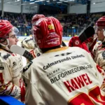 Glädjebeskedet: Stjärnorna tillbaka till match sju