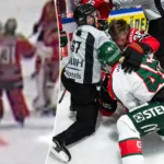 Bilderna visar knuffen bakom bråket: ”Med flit”