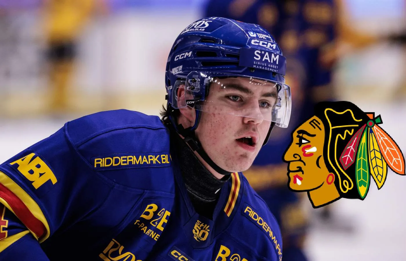 Chicagos besked: Då gör Anton Frondell debut i NHL