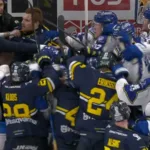 Galna scenerna − här blir det jätteslagsmål i båset