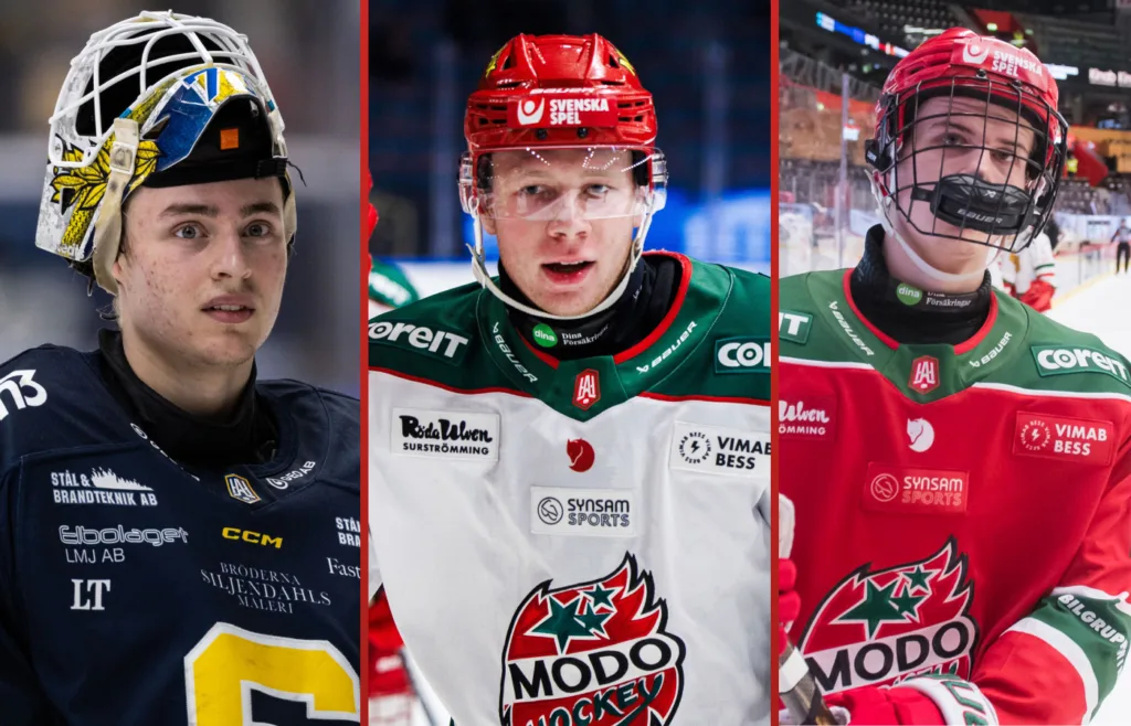 Love Härenstam. Milton Gästrin. Elton Hermansson. Guldgallret. HockeyAllsvenskan.