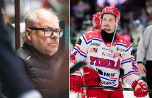 ”Nubben”: Inget misslyckande för Timrå