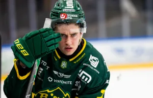 Succébacken petas av Björklöven