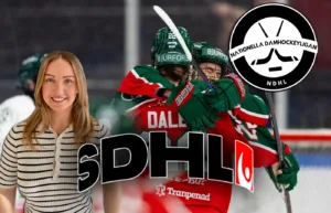 Experterna: De går till SM-final – och de vinner kvalet