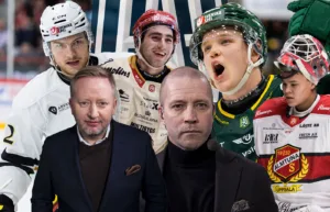 Experternas val – här är säsongens lag i HockeyAllsvenskan