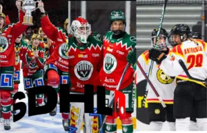 ENKÄT: Så går finalserien: ”Till slut är det dags för Brynäs”