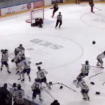 MJÖRNBERG: Till Hockeyettan efter sanslöst drama