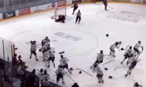 MJÖRNBERG: Till Hockeyettan efter sanslöst drama