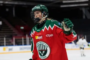 Frölunda HC vann serien mot SDE
