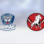 Vita Hästens fina segersvit bruten