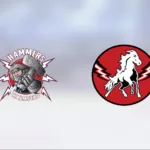 Halmstad klart för semifinal – avgjorde serien mot Vita Hästen