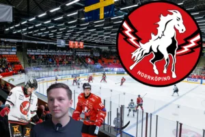 Haveriutredningen: Vita Hästen – därför blev det fiasko