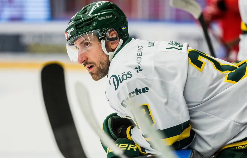 Albin Lundin. Björklöven.