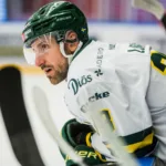 Björklöven överklagar avstängningen: ”Felaktigt beslut”