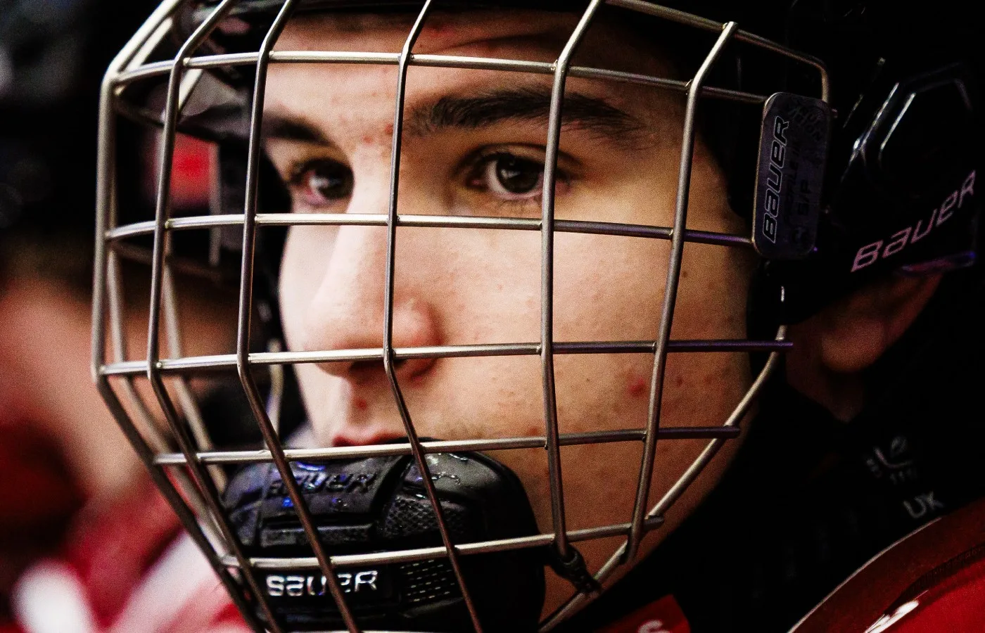 Hyllar svensken: ”Ett potentiellt förstarundeval – utan tvekan”