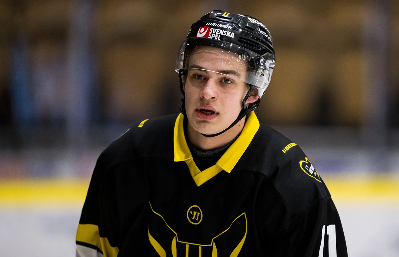 VIK-löftena får kontrakt: ”Årets juniorspelare”