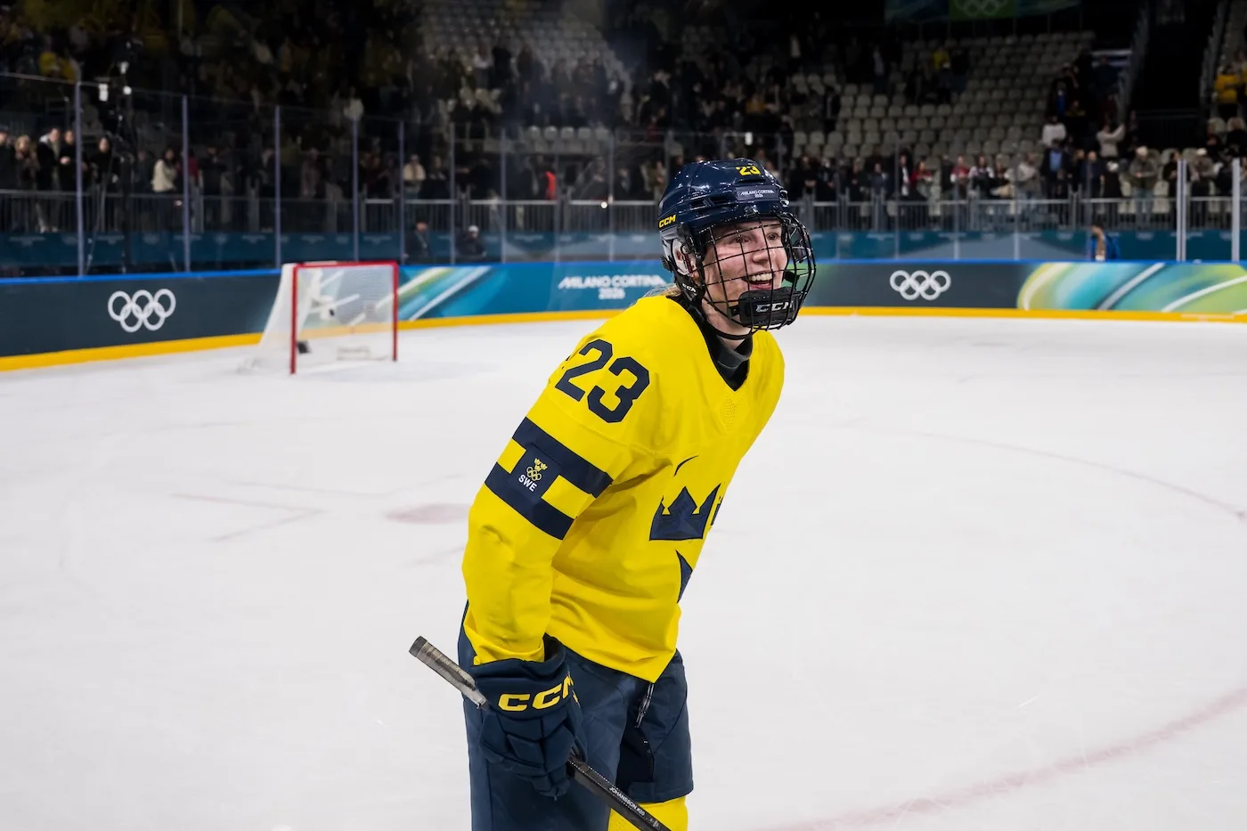 Hv71: det här behöver du veta — image 6