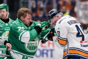 Expertens vädjan – efter slagsmålet: ”Hoppas inte på vidare konsekvenser”