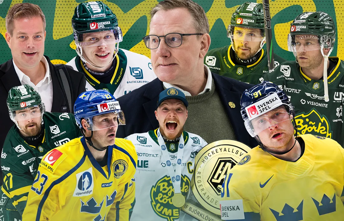 Björklöven 26/27: ”Äntligen SHL − så borde laget byggas”