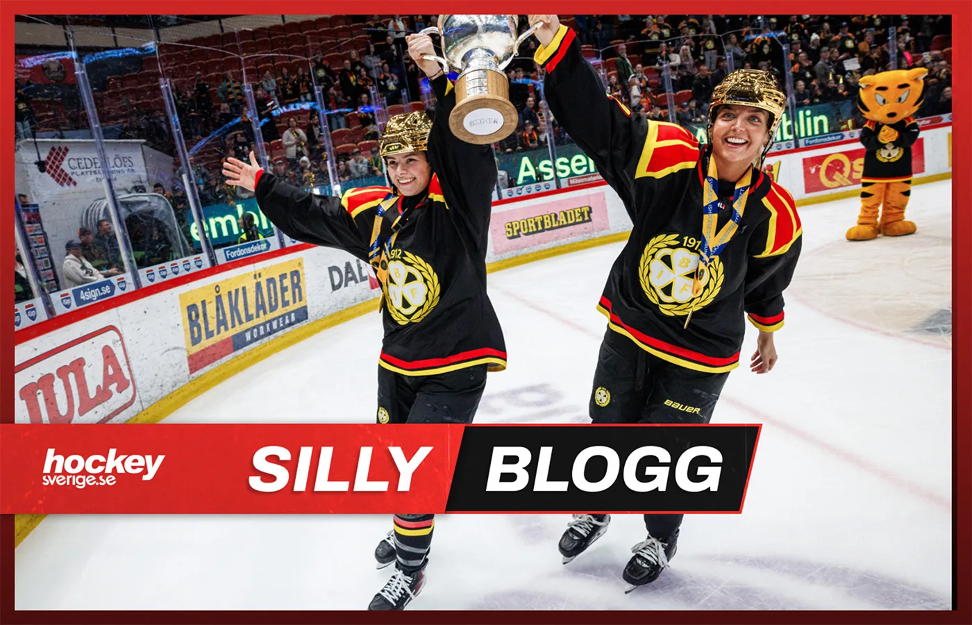 Swedish Hockey Transfer Rumors: Latest SHL News and Updates