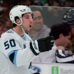 Skallade svensken – får betala böter