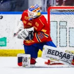 Han prisas som Årets Målvakt i SHL