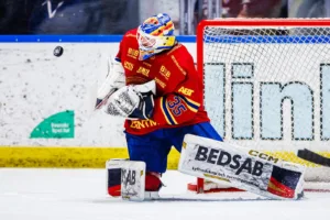 Han prisas som Årets Målvakt i SHL
