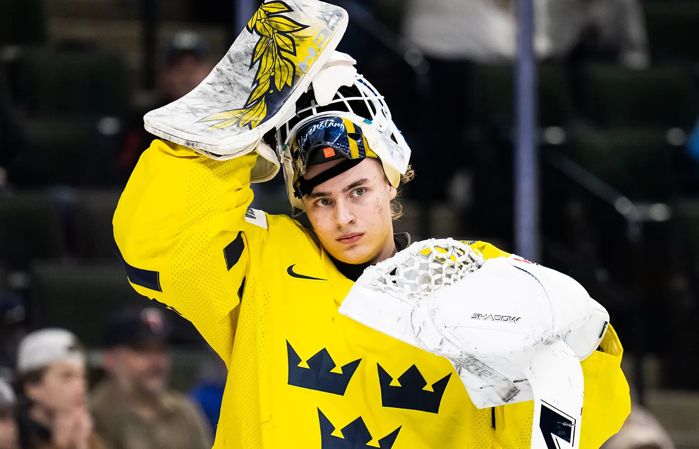 Love Härenstam: det här behöver du veta — image 3