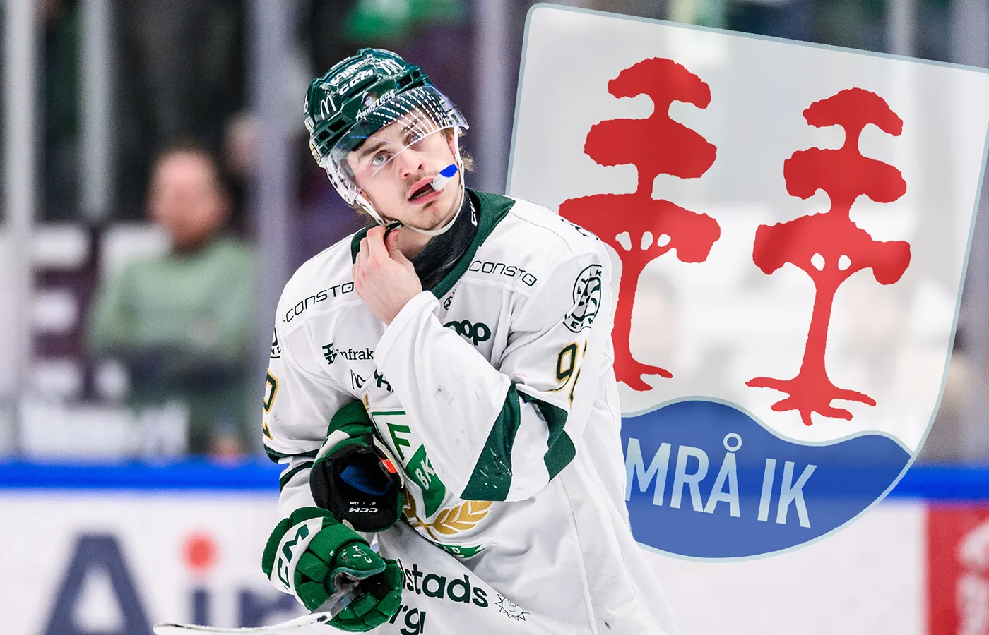 Värvar från FBK – så långt är kontraktet