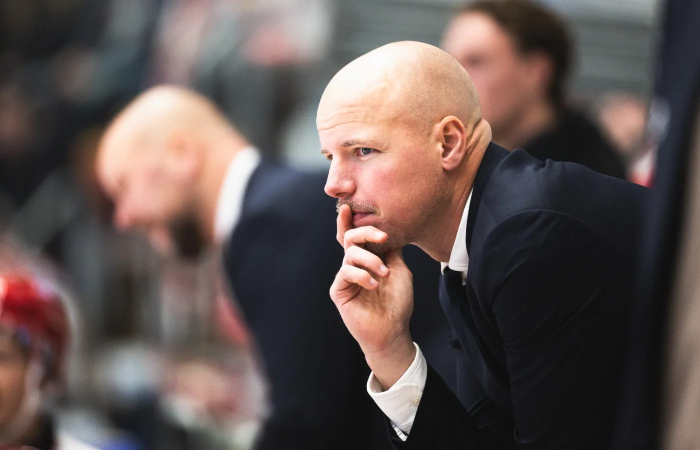 MoDo värvar tränare – från Timrå