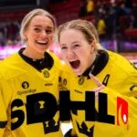 SDHL+: Så har lagen värvat