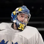 Tidigare AHL-svensken får inte förlängt