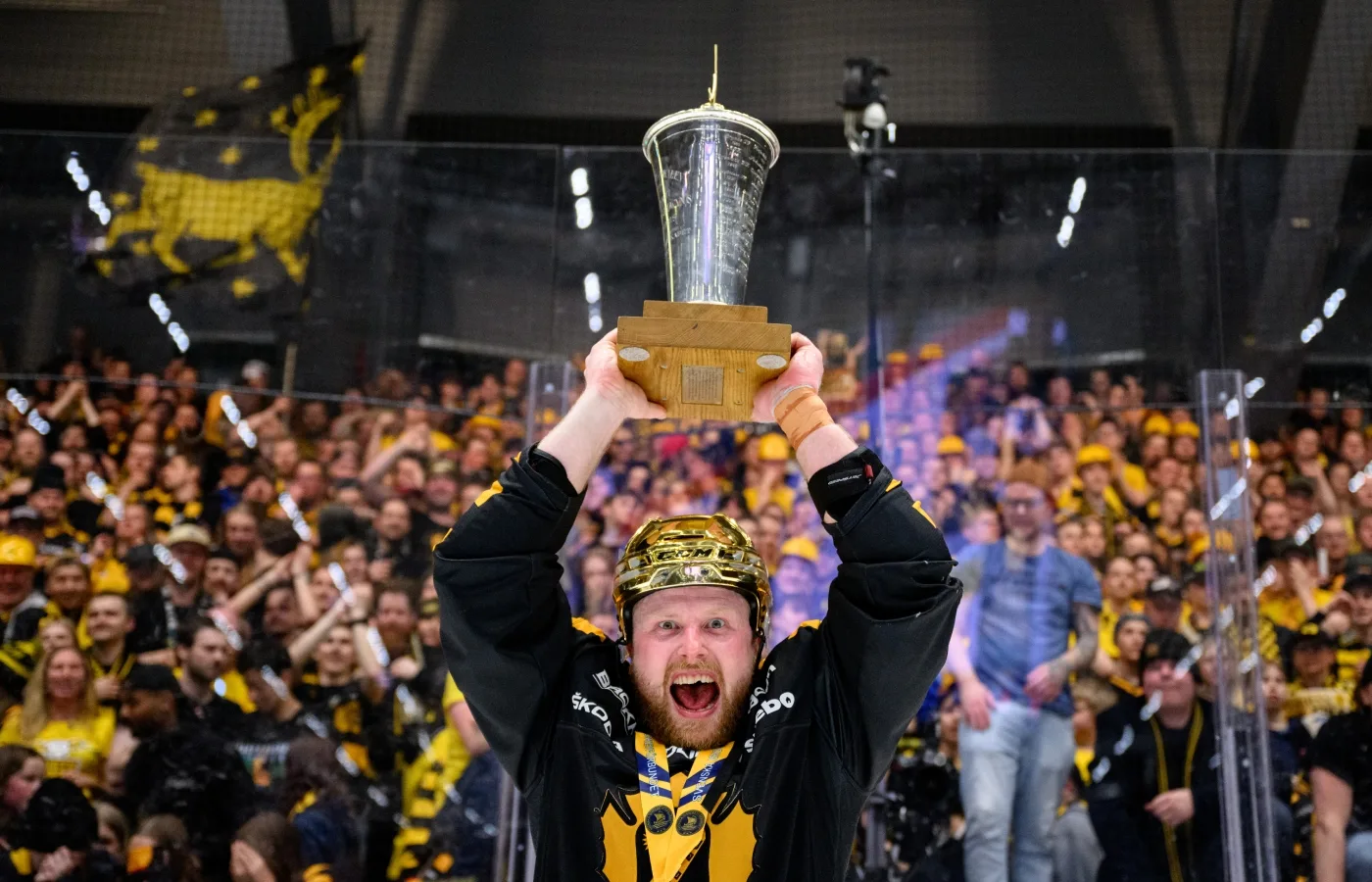 Beskedet: Avslutar karriären