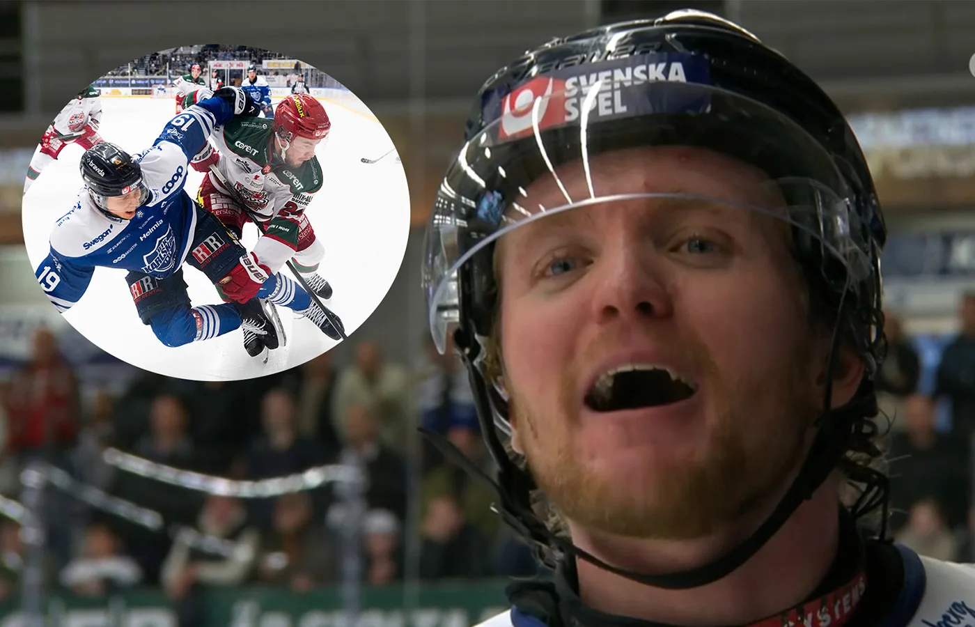 Platos attack: ”Jävla mesar”