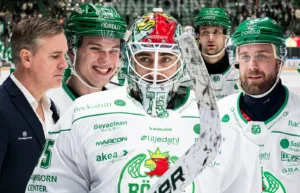Rögle: Säsongsanalys och framåtblick