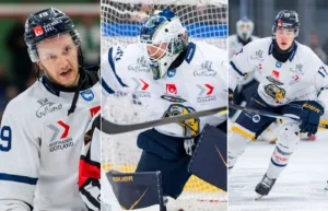 Smörgåsbordet Visby: ”Attraktiv för alla topplag”