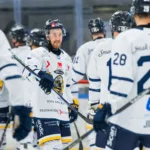 MJÖRNBERG: Erfarenheten förstörde festen – rejält