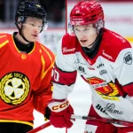 Brynäsprodukten klar för ny klubb