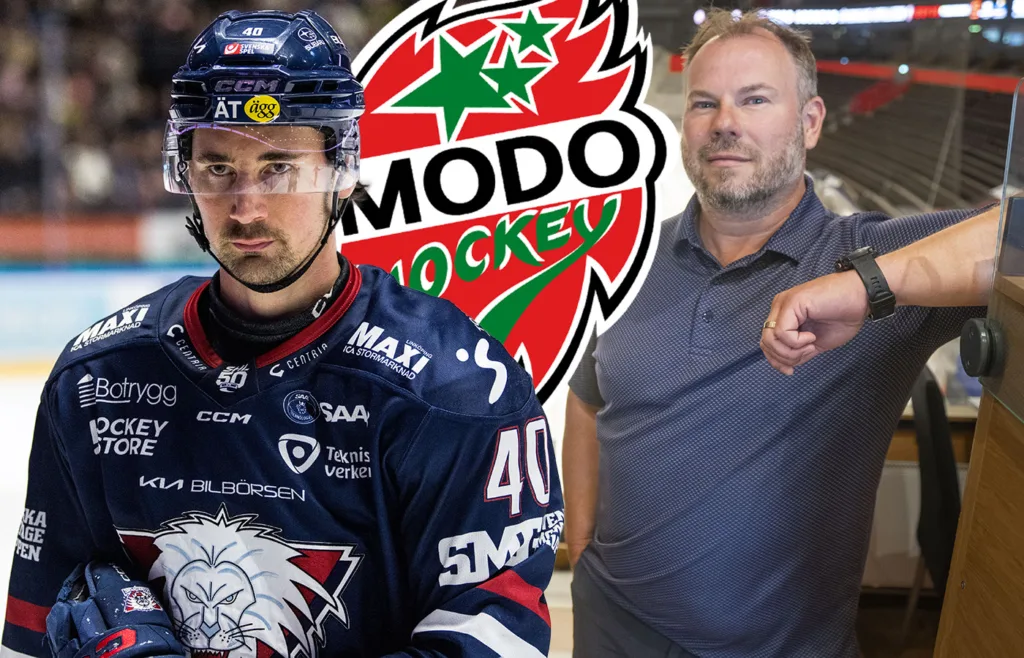 David Bernhardt. Henrik Gradin. MoDo. 