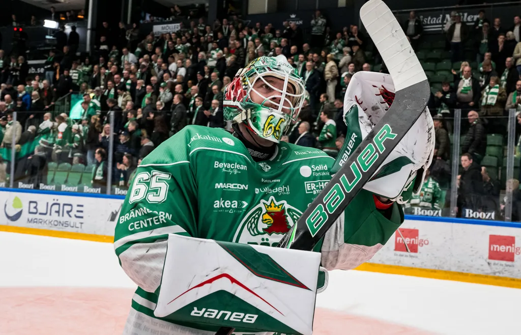 Christoffer Rifalk. Rögle. Ilves.