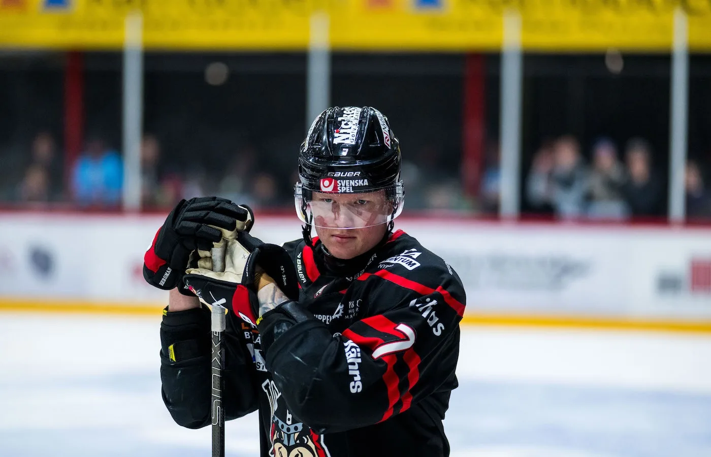 Uppgifter: Stjärnbacken lämnar Nybro Vikings