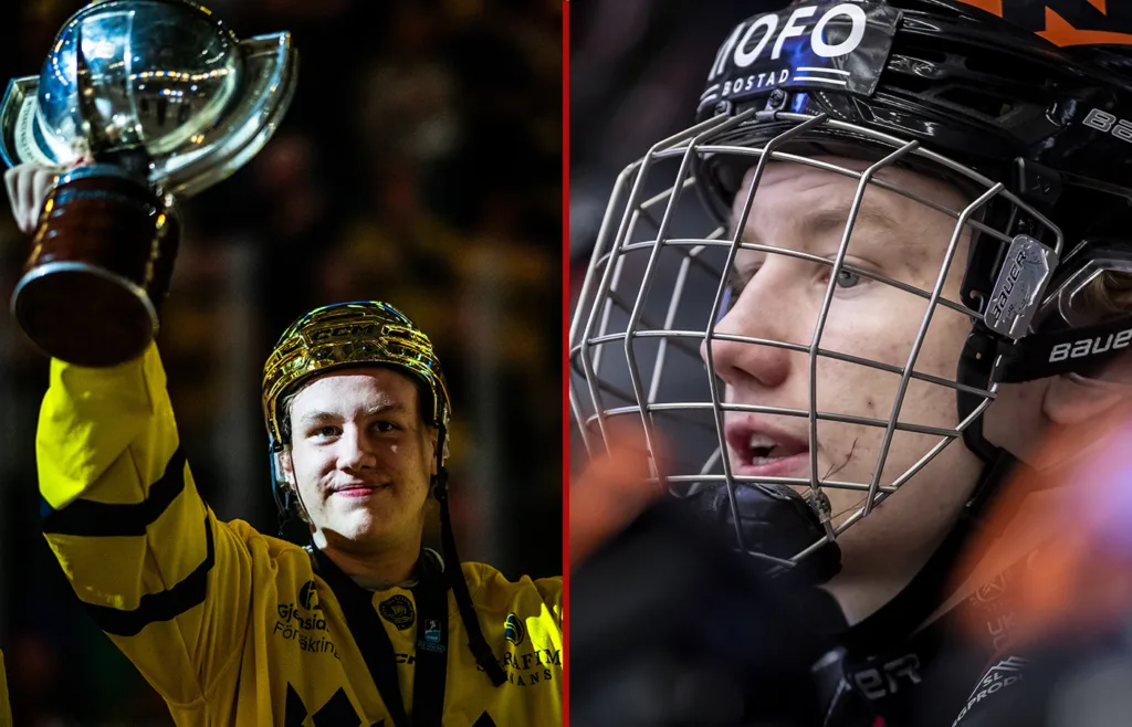 Ludvig Andersson. Örebro Hockey. 