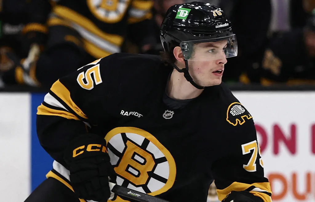 Lukas Reichel. Boston Bruins.