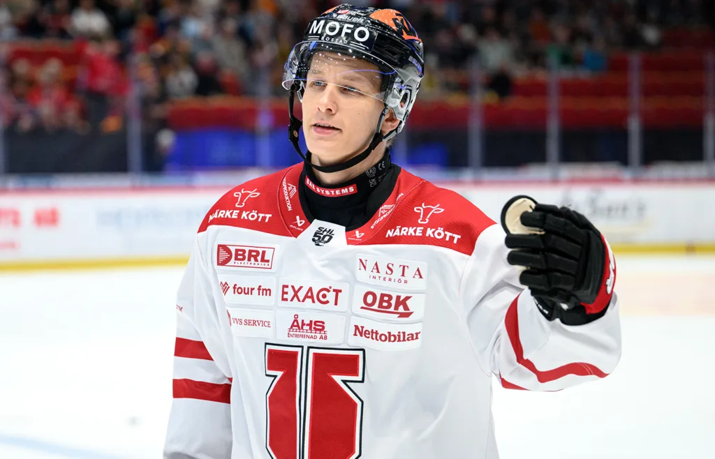 Patrik Puistola. Örebro Hockey.