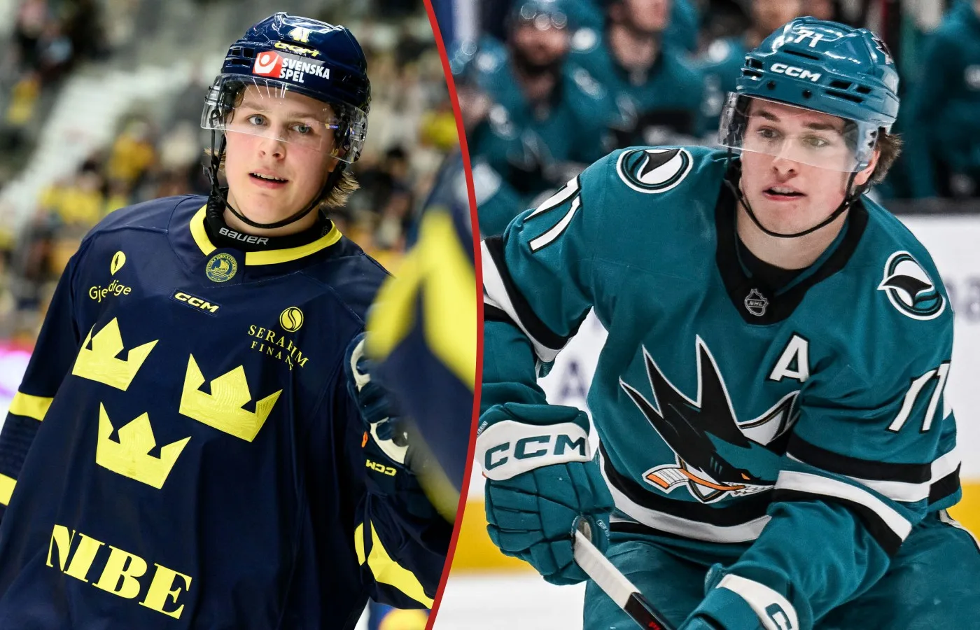 Jämför Stenberg med superstjärnan: ”Likheter med Celebrini”