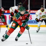 Uppgifter: Niederbach lämnar Frölunda – klar för NHL