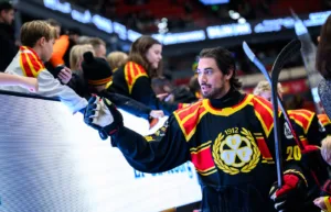 Vesel lämnar Brynäs – klar för AIK