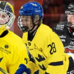 Så kan Småkronorna se ut – nästa säsong