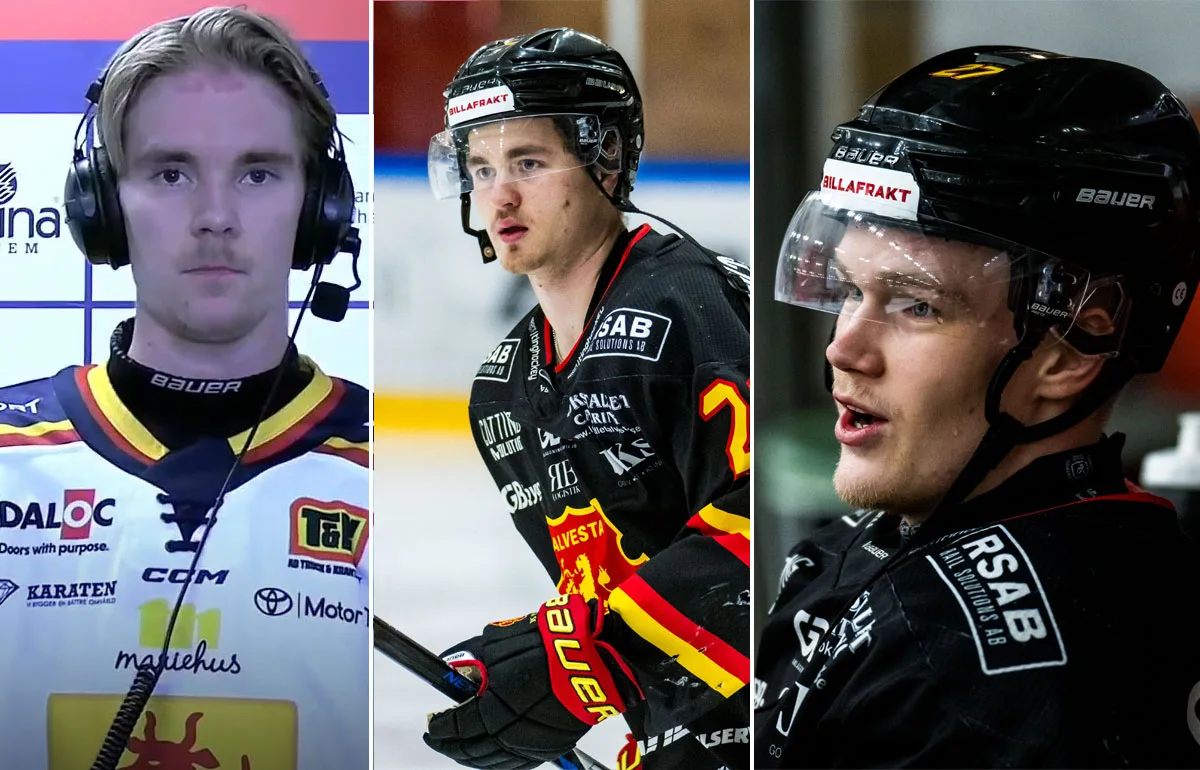 Tio värvningar i HockeyEttan – som gått under radarn